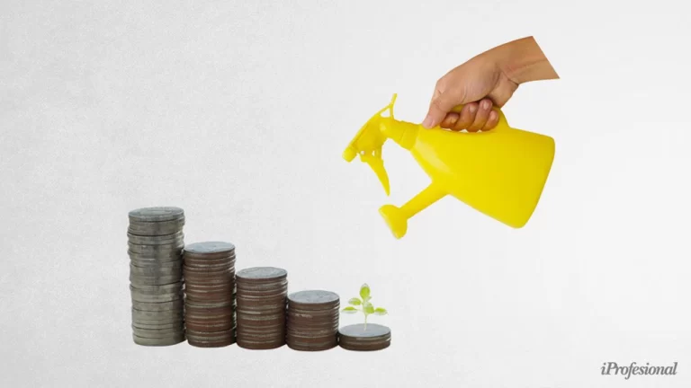 Alternativas de inversión tras la baja de tasas de plazos fijos