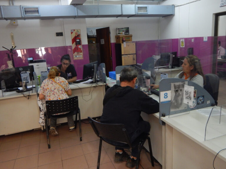 Recaudación: comienza a regir la moratoria impositiva de la provincia de San Luis