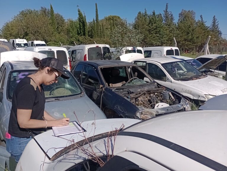 confirmaron que preparan un nuevo remate para fin de año