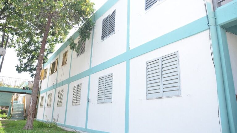 Inseguridad insostenible en el Barrio ATE 2 de Villa Mercedes