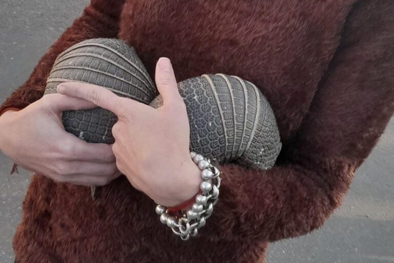 San Luis: rescataron 2 matacos del interior de un auto en un supermercado