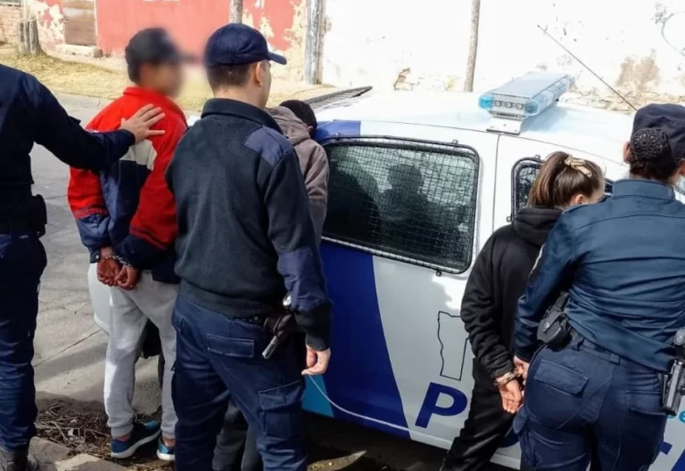 San Luis: dos hermanos fueron demorados por robarle a su madre