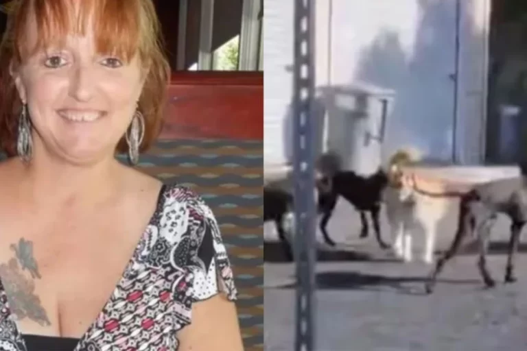 EEUU: caminaba por un sendero, fue atacada por una jauría y murió