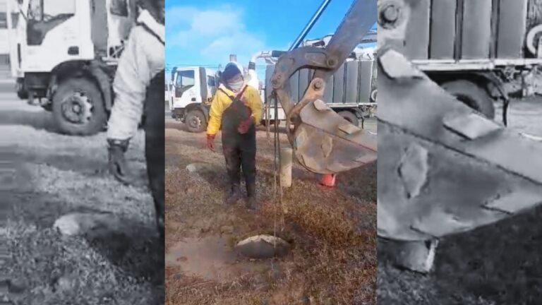 Impactante hallazgo en los desagües: un perro muerto obstruía las cloacas