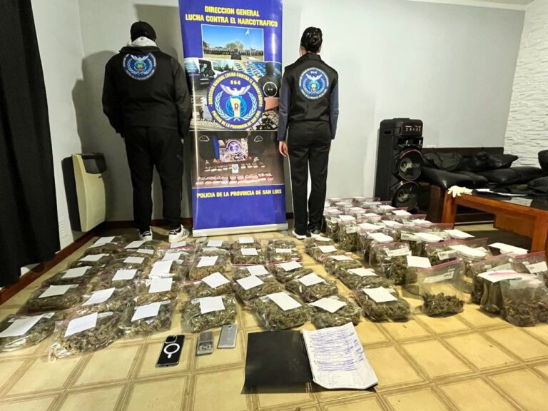 Incautaron casi 6 kilos de marihuana en un operativo en San Luis