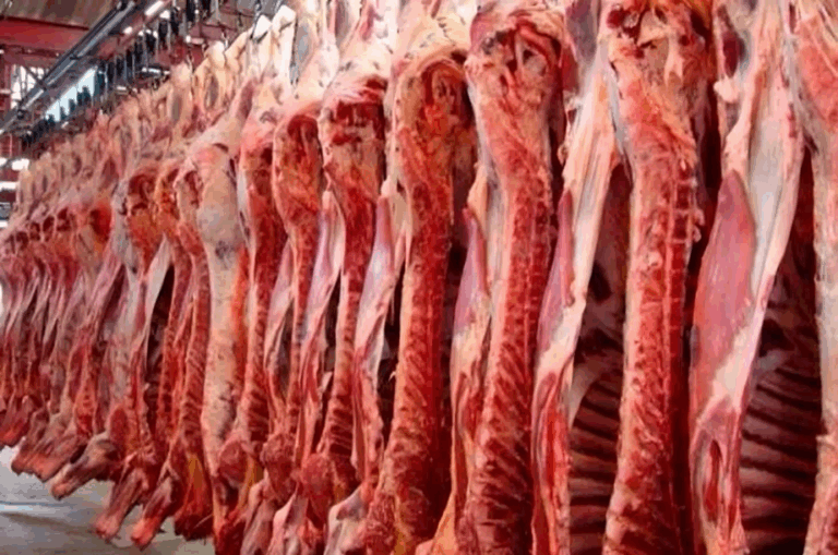 La carne argentina pierde terreno en China: exportaciones caen casi un 30%