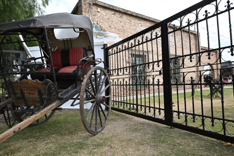 Museos en movimiento: celebraciones por su día internacional