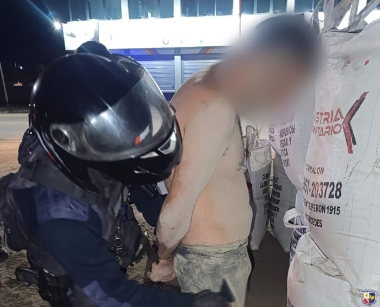 Villa Mercedes: Robó, lo descubrieron y lo lincharon