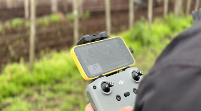 Tecnología en el campo: cómo la IA revoluciona la ganadería tradicional