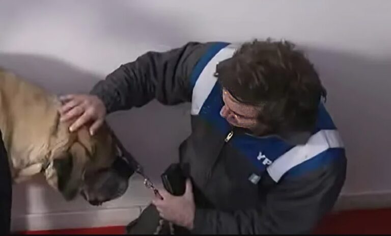 Milei sorprende al aparecer con uno de los clones de su perro Conan en una entrevista