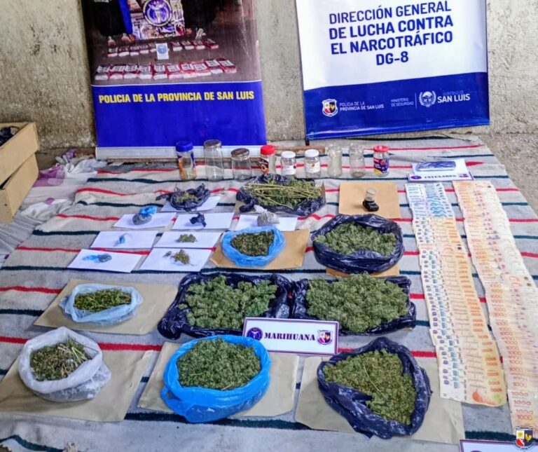 Buena Esperanza: La Policía incautó droga valuada en $13 millones