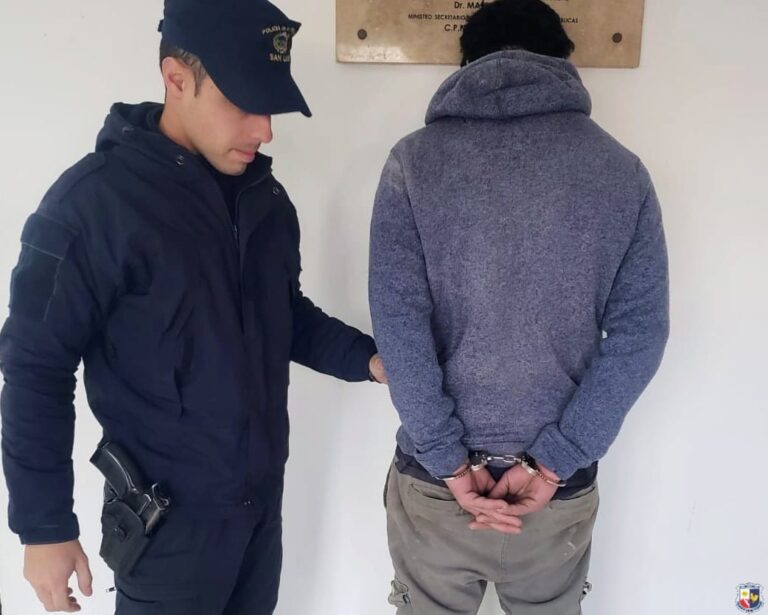 Detuvieron en Villa Mercedes a un joven por causar disturbios en la casa de su madre