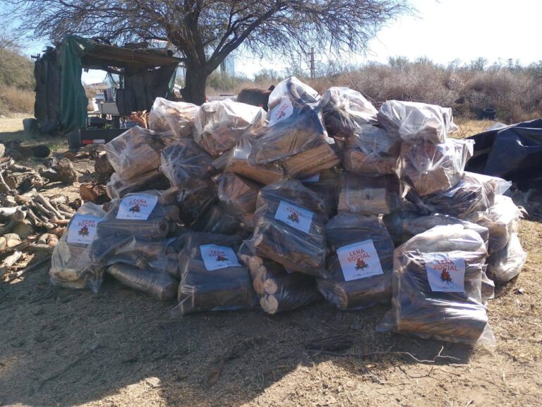 Leña Social: calefacción solidaria para comedores de la ciudad