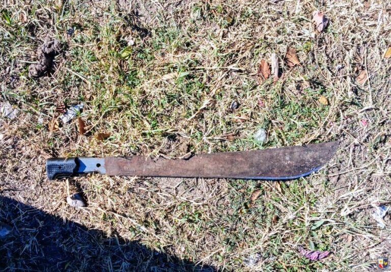 San Luis: Detuvieron a una mujer que amenazaba con un machete a sus vecinos