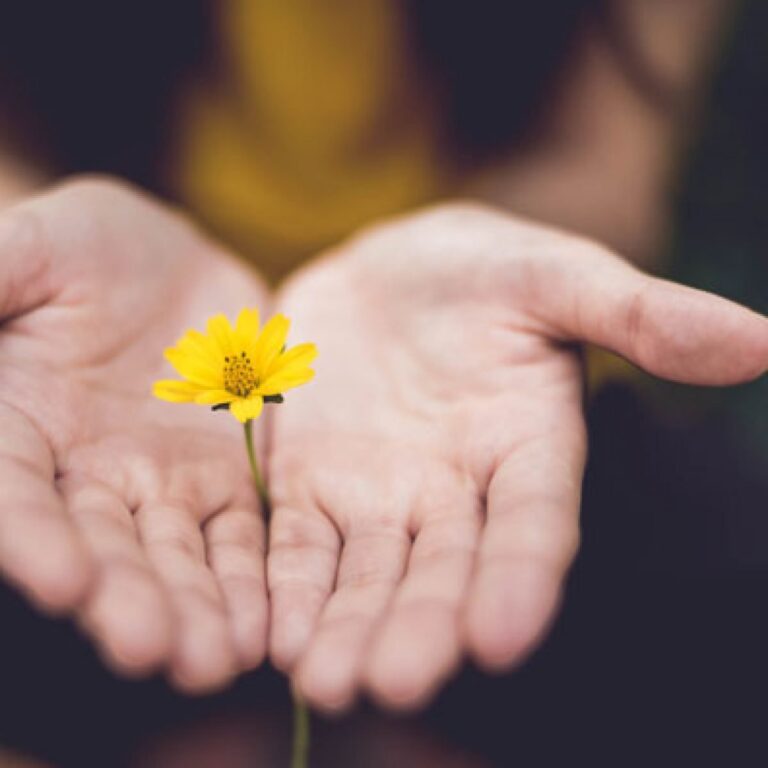 Cuando el perdón deja de ser obligación y se vuelve liberación