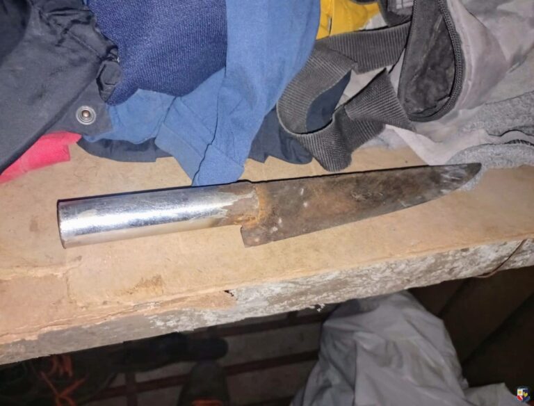 Amenazó a su familia con un cuchillo y fue demorado por la Policía