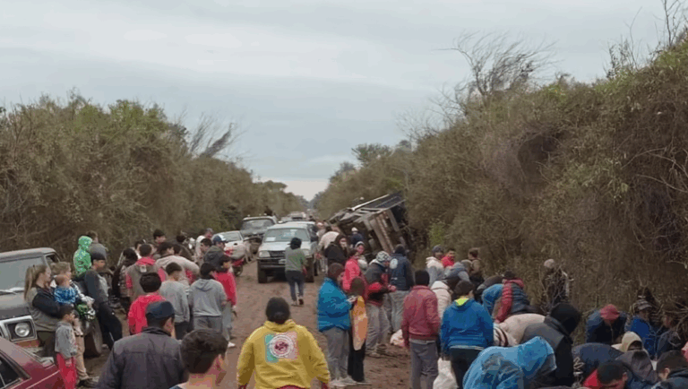 Córdoba: volcó un camión de carne y vecinos faenaron las vacas