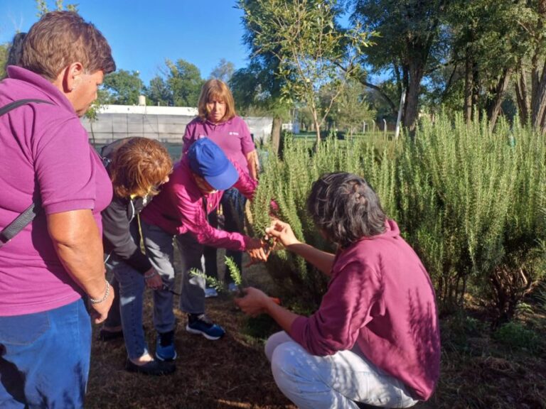 Se dictará un taller gratuito de esquejes de romero en Villa Mercedes