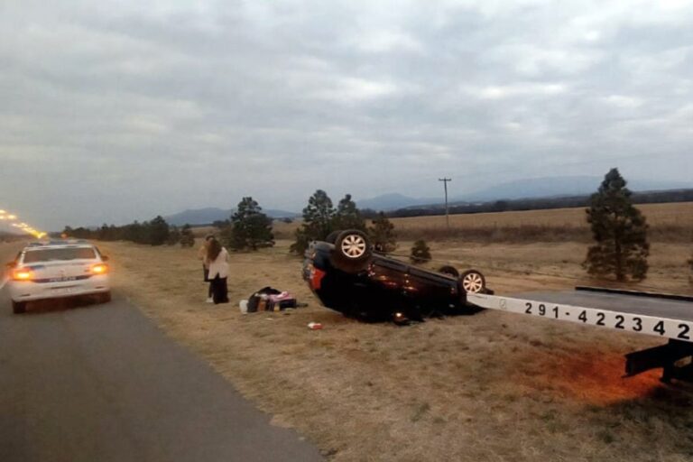 Un puma se cruzó y provocó un vuelco en la Autopista de las Serranías Puntanas