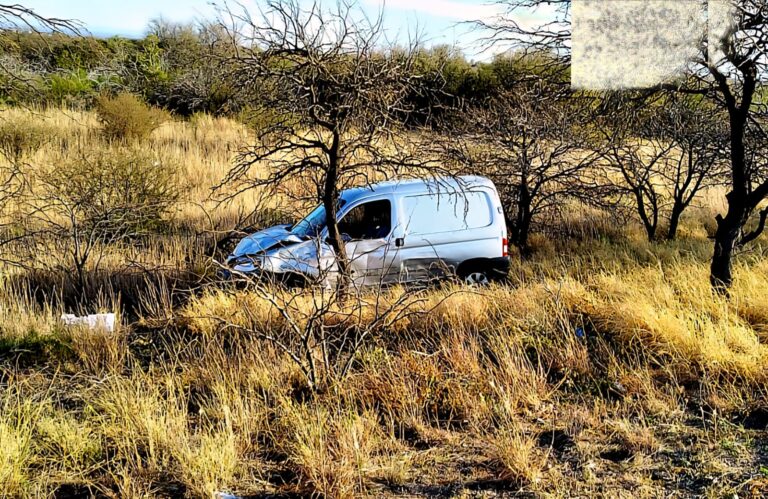 Una maniobra por salvar a su sobrina terminó contra los árboles