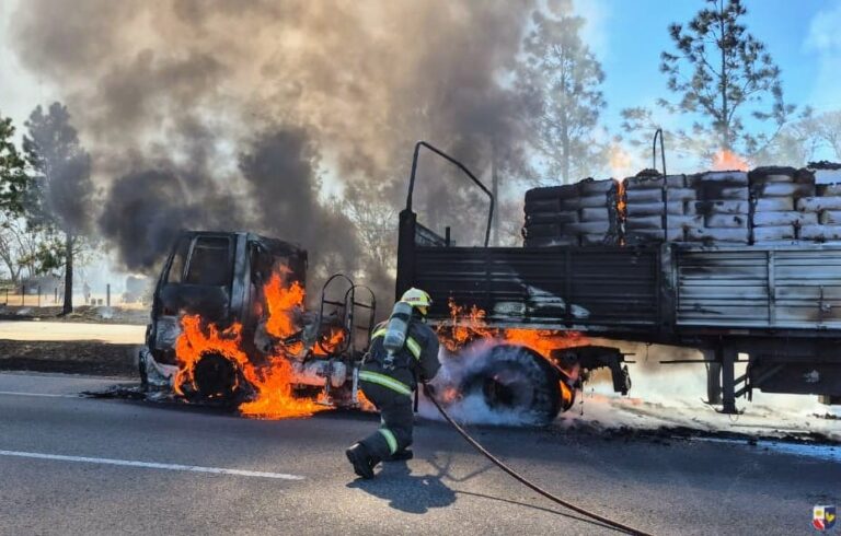 Impactante incendio de un camión en la Autopista Serranías Puntanas