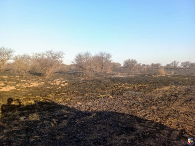 Incendiaron 200 hectáreas: buscan a los responsables de la quema