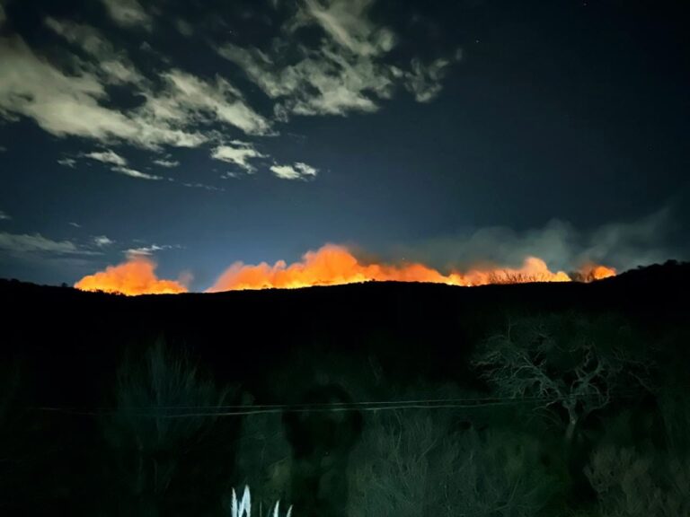Incendio forestal entre Potrero de los Funes y Estancia Grande