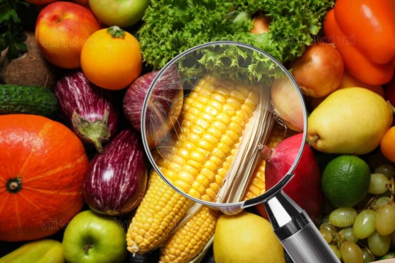 Una profesional de Villa Mercedes se suma a la Asociación Argentina de Inocuidad Alimentaria