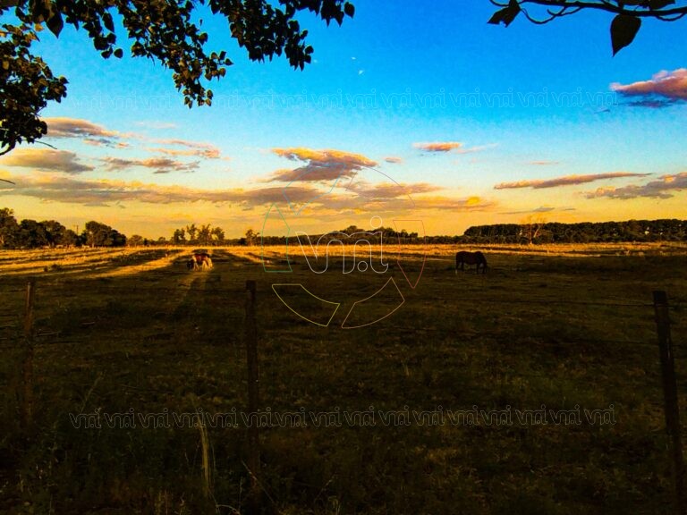 Viento y leve inestabilidad marcarán el inicio de la semana