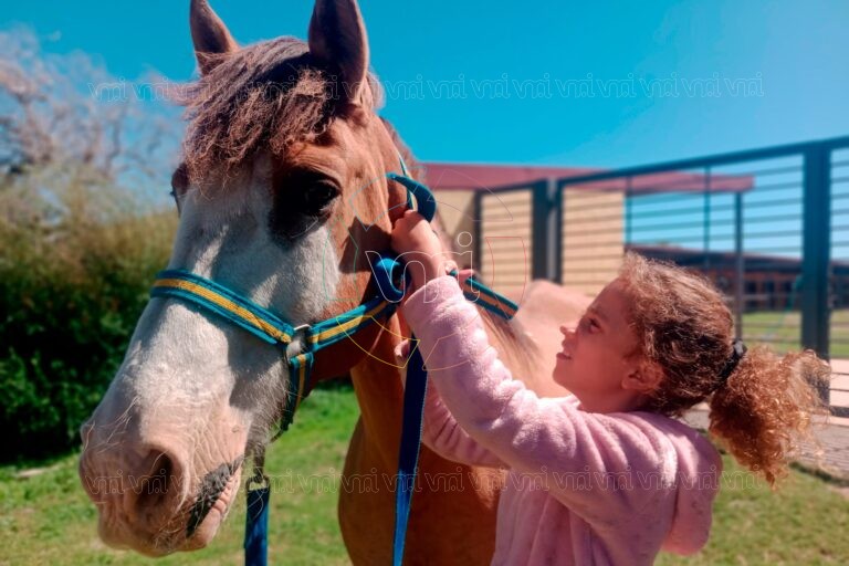 Abren las inscripciones para el ciclo 2026 de equinoterapia en Villa Mercedes