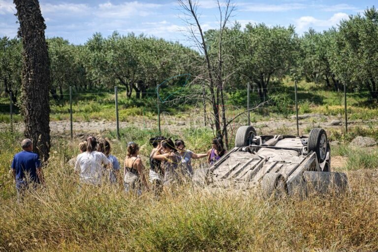 Trágico vuelco en la Ruta 146: murió un docente puntano en Mendoza